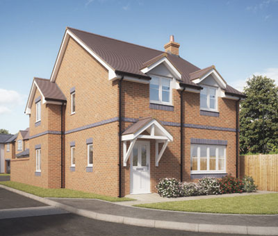 Plot 9